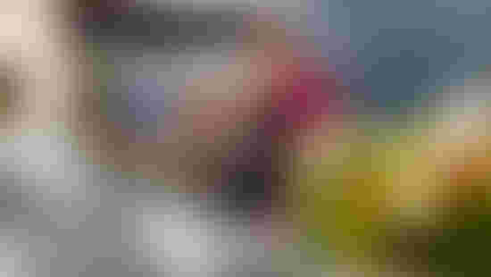 P1073485.jpeg